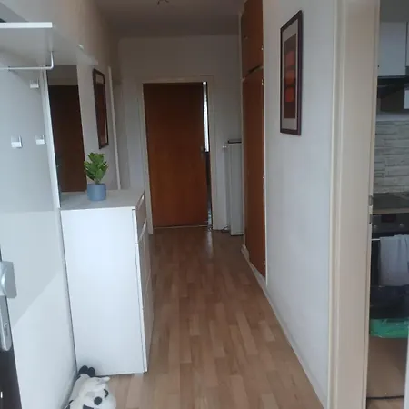 Luxury With Nice Interior Look For Guest Appartement *